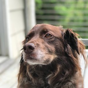 Meet your Posher, Jack